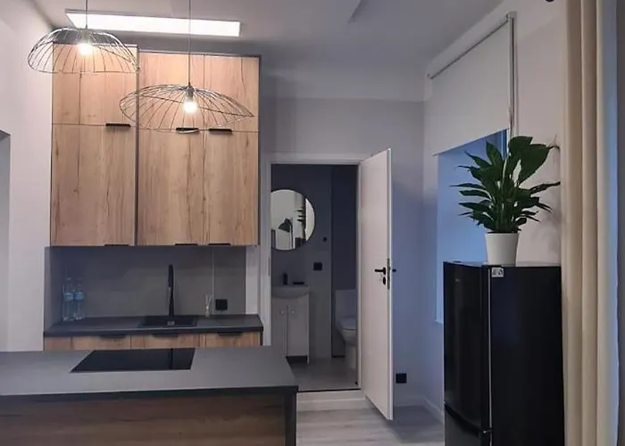 Apartament W Scislym Centrum Lodzi 26M2 Na Ukwieconej Ulicy 6 Sierpnia